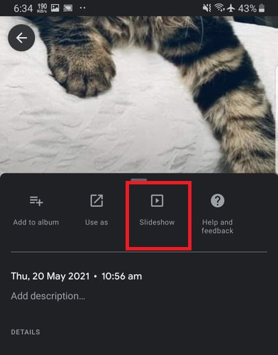 google photos slideshow option