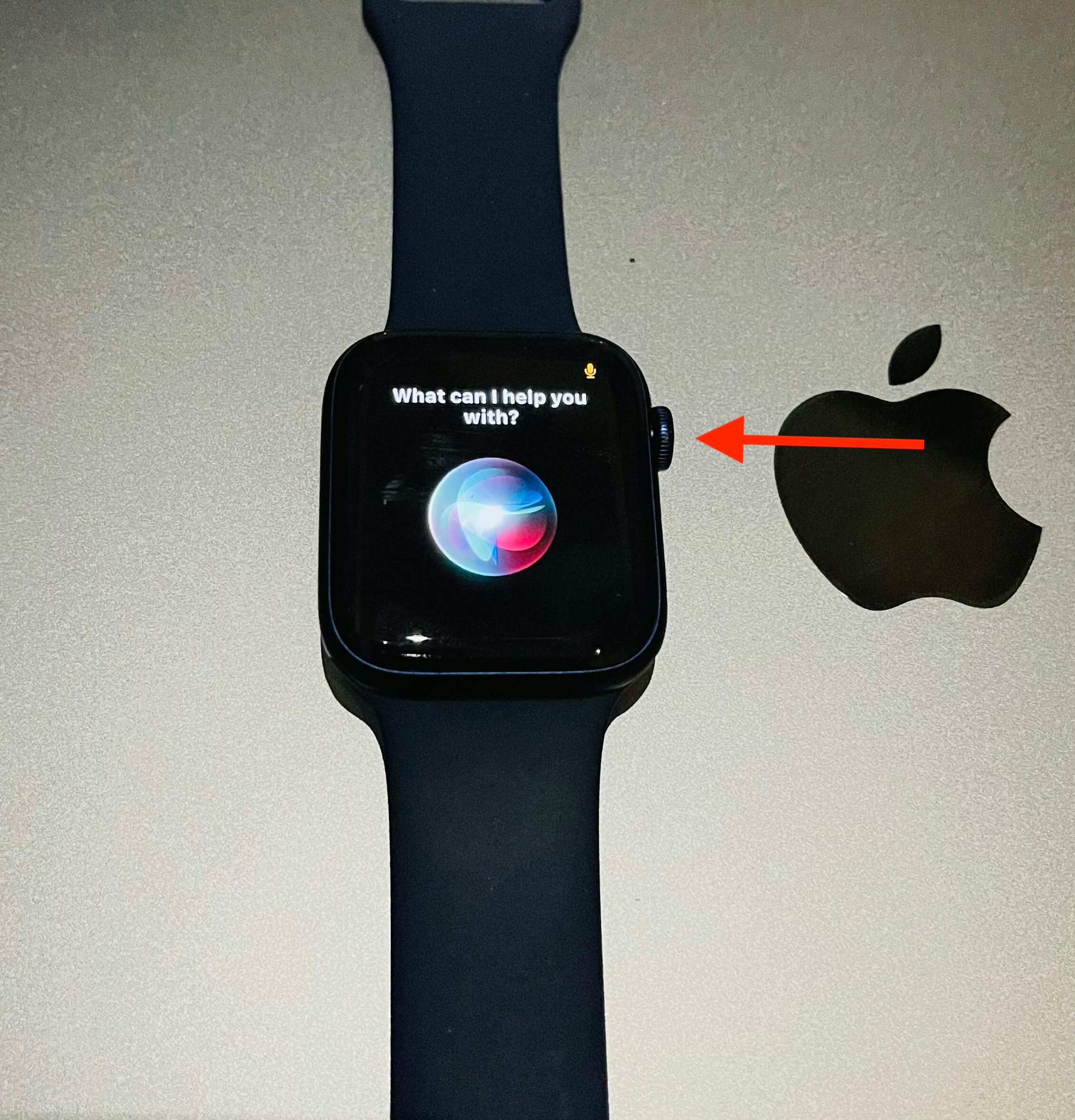 How To Get Snapchat on Apple Watch [2024 Answered] Digitub
