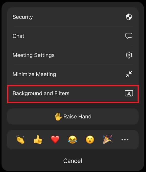 zoom Background and Filters