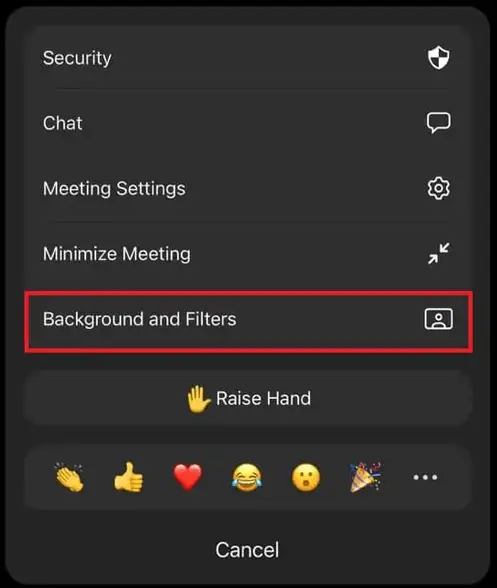 zoom Background and Filters