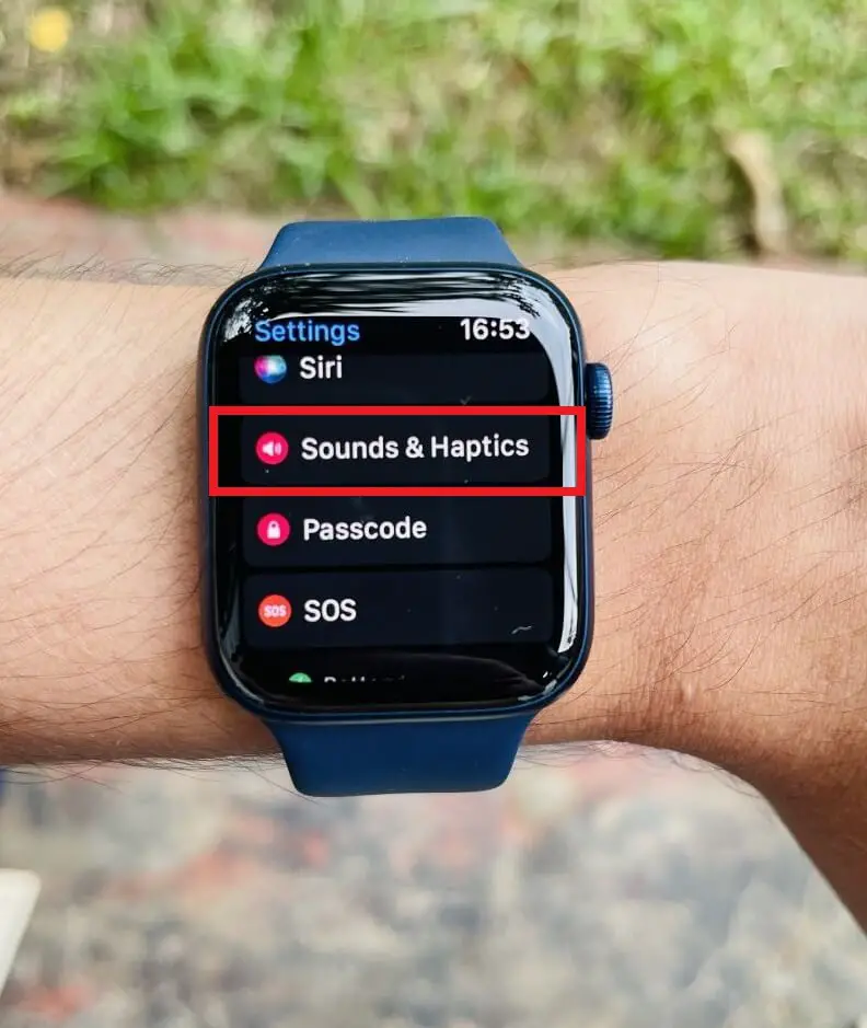 How to put an Apple Watch on silent (1)