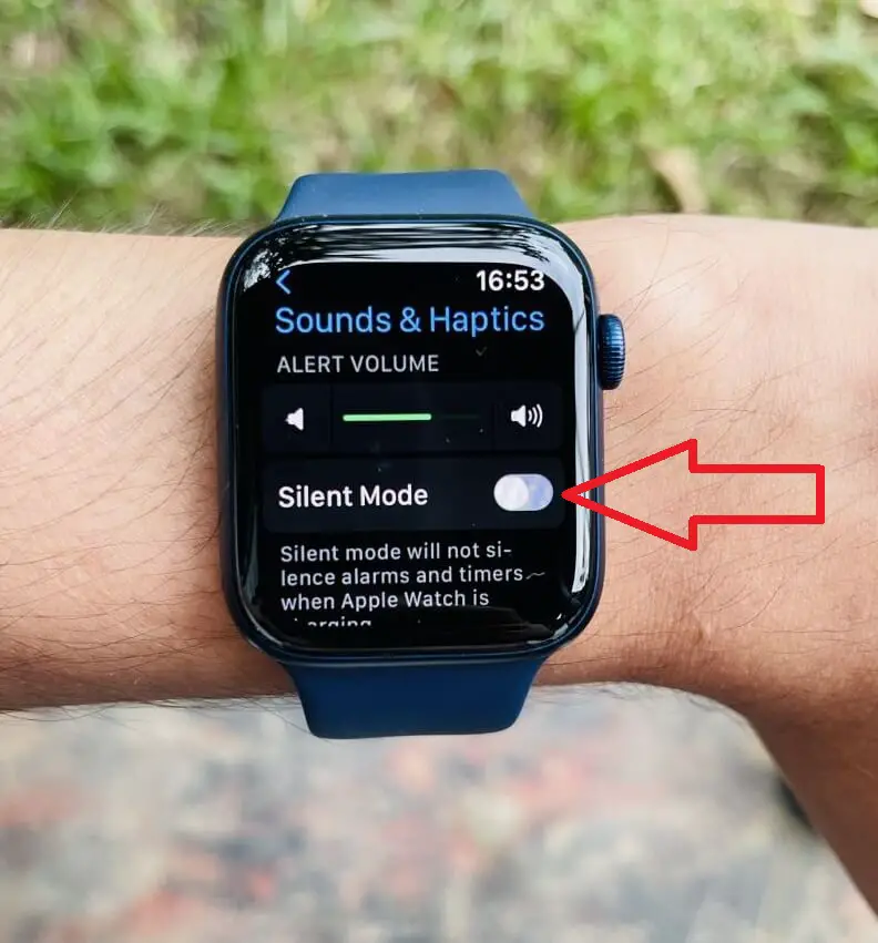 How to put an Apple Watch on silent (4)