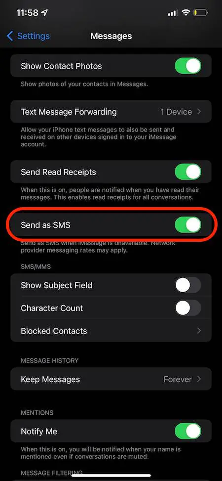 SEND AS SMS - iphone