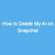 how to delete my ai on snapchat 2049